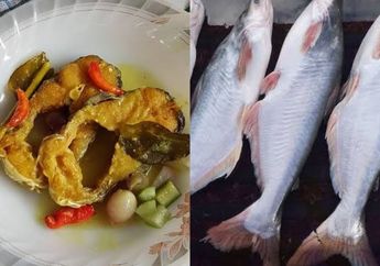 Dapat Bocoran dari Pemilik Warung Nasi Padang, Begini Cara Membuat Ikan Patin yang Gak Bau Tanah, Cuma Pakai Satu Buah Segar ini