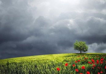 Arti Mimpi tentang Padang Rumput, Isyarat Baik Terkait Masa Depan, Perjalanan Asmara Bakal Berakhir Bahagia