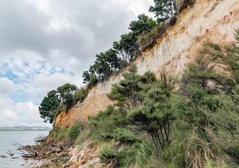 Pengertian Erosi Lengkap dengan Penyebab dan Dampaknya, Kunci Jawaban Materi Kelas 4 SD Tema 4