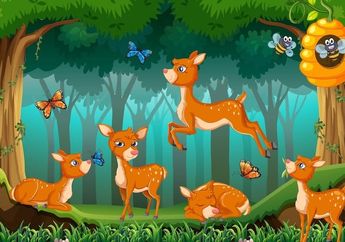 Kunci Jawaban Kelas 3 SD Tema 2, Apa Pesan Moral dalam Dongeng Si Kancil Mencuri Ketimun?