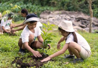 Hak dan Kewajiban Terhadap Kesehatan Lingkungan Sekitar, Termasuk Menanam Pohon, Kunci Jawaban Kelas 5 SD Tema 4