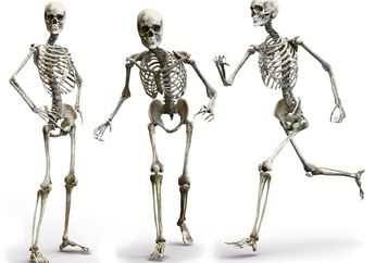 Kunci Jawaban Materi IPA Kelas 5 SD, Benarkah Tulang Manusia Berwarna Putih?