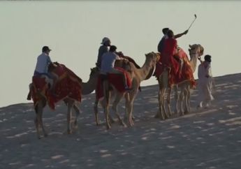 Tak Hanya Manusia, Unta-Unta di Qatar Sampai Lembur Selama Piala Dunia 2022 Berlangsung, Ternyata Ini Penyebabnya