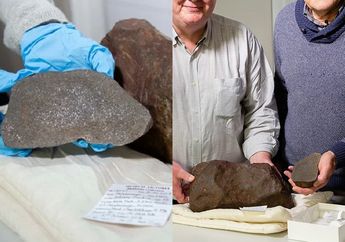 Pria Panen Rezeki Berlipat Gegara Simpan Batu yang Dikira Mengandung Emas, Ternyata Nilainya Lebih Berharga dari Logam Mulia!