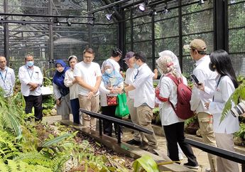 Taman Nepenthes, Wahana Edukasi&nbsp;Tumbuhan Unik Pemakan Serangga di Kebun Raya Bogor