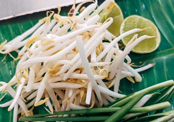 Taoge Tidak Perlu Dikupas Satu per Satu, Begini Tips Mencuci Kecambah Tanpa Repot!