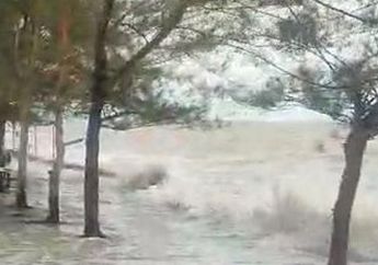 Pesisir Jateng Terancam Diterjang Banjir Rob, Tinggi Gelombang Laut Hari Ini Bisa Mencapai 3 Meter, BMKG: Mohon Cek Tanggul
