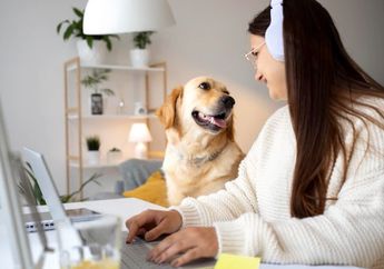 5 Arti Mimpi Memelihara Anjing di Rumah, Ternyata Jadi Pertanda Kurangnya Kasih Sayang? Simak Penjelasannya