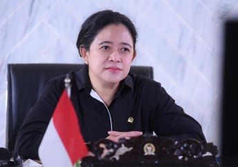 GEGER Sosok Mirip Puan Maharani Nonton Konser Blackpink di Singapura, Begini Potretnya dengan Baju Pink