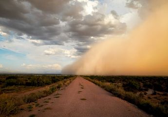 Kunci Jawaban Materi Kelas 6 SD/MI, Apakah Langit Bisa Berwarna Cokelat, Hijau, Kuning, dan Merah?