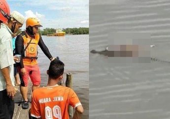 Bikin Merinding! Seekor Buaya Antarkan Jasad Balita ke Pinggiran Sungai, Tim SAR Syok Lihat Kondisi Jenazah