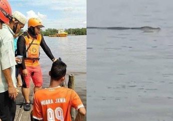 Kronologi Video Viral Buaya Antar Jasad Balita ke Tepi Sungai, Ternyata Sudah Terjadi 3 Kali!