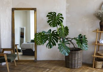 Bikin Ruangan Terkesan Lebih Luas dan Estetik, Berikut 5 Trik Menempatkan Cermin di Ruang Kecil