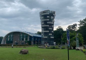 Bazaar Tanaman, Live Musik, hingga Zumba Bareng! Gabung Yuk di Festival 82 Kebun Raya Purwodadi