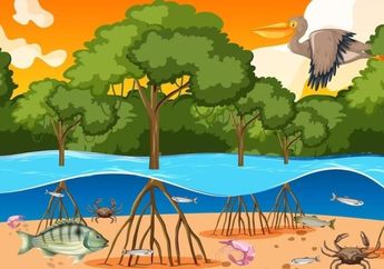 Kunci Jawaban Kelas 4 SD Tema 4, Bahaya Kerusakan Hutan Bakau bagi Lingkungan, Bisa Erosi