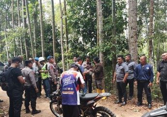 Kapolda Jambi Alami Sesak Napas dan Patah Tulang, Begini Upaya Evakuasi Para Korban Pendaratan Darurat Helikopter di Gunung Kerinci