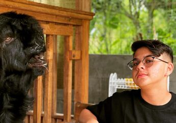 Jadi Juragan Kambing Beromset Capai Miliaran, Mantan Artis Cilik Ini Ungkap Bisnisnya yang Menjanjikan!