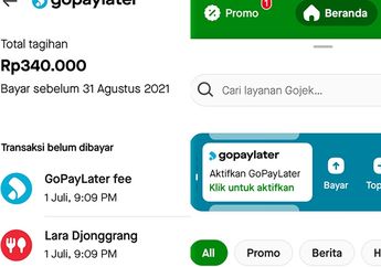 Pengalaman Telat Bayar Gopaylater 6 Bulan, Benarkah Penagihan Langsung Datang ke Rumah?
