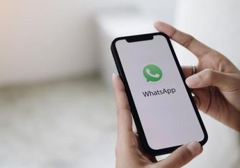 Cara Atur Foto Profil WA Agar Tidak Gampang Dicuri Penipu Scam, Foto WhatsApp Harus Seperti Ini