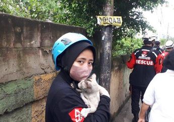 Bak Superhero, Wanita Ini Nekat Terabas Reruntuhan Kebakaran Demi Selamatkan Seekor Kucing