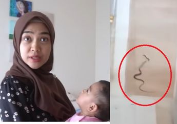 NGERI, Rumah Ria Ricis Disatroni Ular Misterius, Adik Oki Setiana Dewi Singgung Soal Jelmaan Jin Gegara Hal Ini