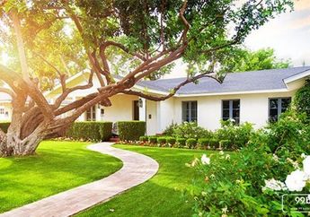 Arti Mimpi Pohon Kecil Merambat di Pohon Besar, Ternyata Malah Jadi Pertanda Keberuntungan Ini, Simak Penjelasannya