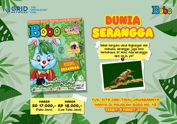 Majalah Bobo Terbaru Edisi 49 Sudah Terbit! Intip Isinya di Sini