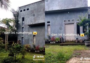 Viral Rumah Satu Lantai Tingginya Setara Pohon Kelapa, Ternyata ini Manfaatnya!