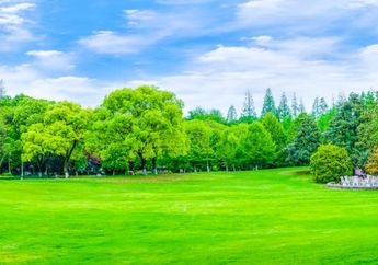 Arti Mimpi Bertamasya ke Alam Bebas Rupanya Simpan Makna Terpendam Soal Hal Positif Ini, Berikut Penjelasannya