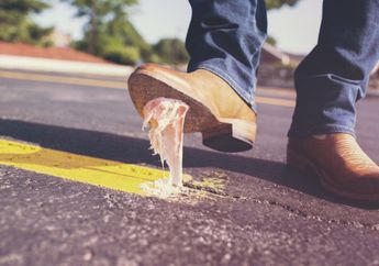 3 Shio Paling Apes di Pertengahan Tahun 2023, Siap-siap Alami Patah Hati hingga Kantong Jebol