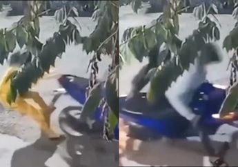 The Power of Emak-Emak, Wanita Korban Jambret ini Bikin 2 Pelaku Lari Terbirit-birit Sampai Tinggalkan Motornya