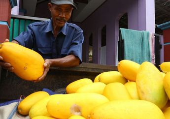 Cuma Dijual Pas Bulan Puasa, Makan Timun Suri Ternyata Bisa Datangkan Manfaat Mujarab Ini Buat Tubuh, Yuk Langsung Beli Di Pasar