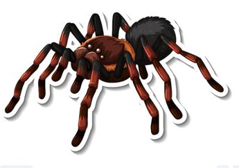 10 Arti Mimpi Laba-laba Menurut Primbon Jawa, Waspadalah! Pertanda Ada Konflik Besar hingga Terlilit Utang