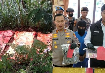 Dukun Pengganda Uang Jadi Dalang Pembunuhan Berantai di Banjarnegara, Terungkap Gegara Isi Pesan WA Salah Satu Korban