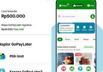 Rentang Waktu Penagihan Gopaylater, Debt Collector Akan Datang Setelah Galbay Selama 3 Bulan