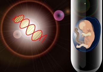 4 Juta Pasangan Indonesia Alami Infertilitas, Waspada Gangguan Ketidaksuburan Pada Wanita dan Pria