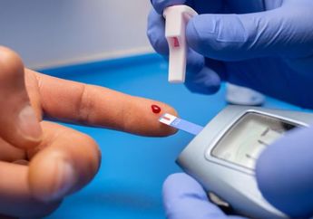 Mau Puas Makan Santan? Ini 5 Rempah yang Jika Rutin Dikonsumsi dapat Menstabilkan Kadar Kolestrol dalam Tubuh