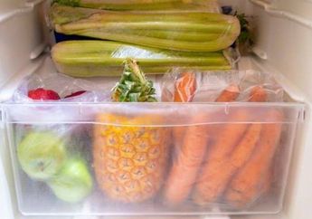 Masih Sering Menyimpan Belanjaan Buah dan Sayuran ke Kulkas Memakai Kantong Plastik? Ternyata Ini Bahayanya yang Tak Bisa Diremehkan