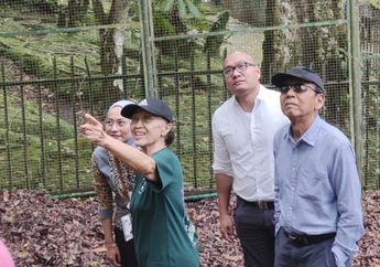 Mantan Wapres Boediono Saksikan Bunga Bangkai Amorphopallus Titanium yang Mekar Sempurna di Kebun Raya Cibodas 