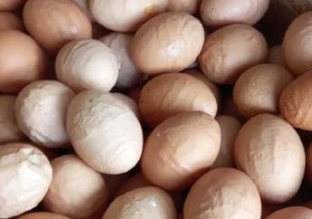 GEGER Temuan Telur Ayam Berkerut di Pasaran, Apa Penyebabnya dan Amankah Dikonsumsi? 