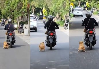 Viral Video Wanita di Bali Seret Anjing dengan Motor hingga Kaki Berdarah, Aksinya Panen Hujatan!