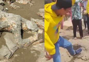 Berani Tendang Batu Malin Kundang, Aksi Pria ini Viral, Nasibnya Berakhir Begini