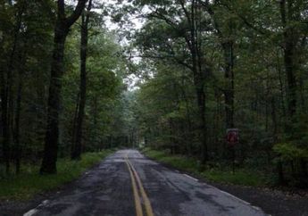 MERINDING Kisah Mistis Warung Gaib di Alas Roban, Konon Jadi Tempat Pembuangan Mayat di Zaman Belanda