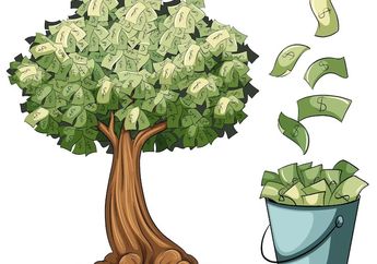 5 Shio yang Pohon Duitnya Paling Subur, Auto Kaya Raya di Agustus 2023