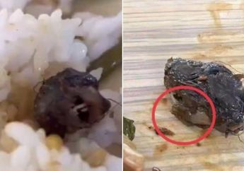 Viral Mahasiswa Temukan Kepala Tikus di Makanan Kantin, Reaksi Pihak Kampus Tuai Kecaman Publik
