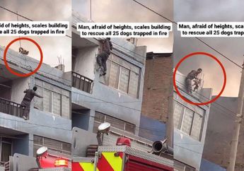 HEROIK! Pria Ini Nekat Lawan Phobia dan Terobos Kebakaran Demi Selamatkan 25 Anak Anjing