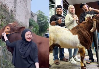 Idul Adha 2023, Nathalie Holscher Kurban Sapi 1 Ton dan Kambing Sekaligus
