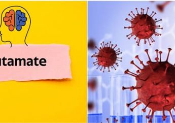 Jadi Pendukung Sistem Kekebalan, Berikut Peran Penting Glutamat Glutamin Bagi Tubuh!