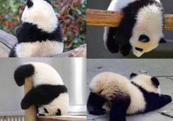 4 Shio Paling Mageran, Hobi Rebahan Seharian di Rumah