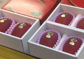 INILAH Mangga Termahal di Dunia, Harganya Tembus Rp 50 Juta per Kilogram dan Pernah Disantap Nagita Slavina di Jepang